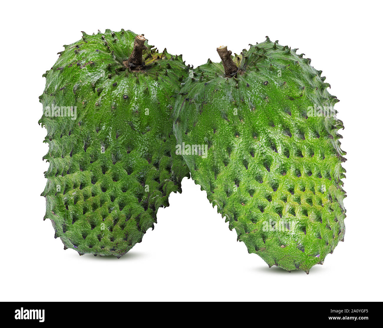 Annona muricata. oursop Obst (Zucker, Apple, Apple) ustard auf weißem Hintergrund Stockfoto