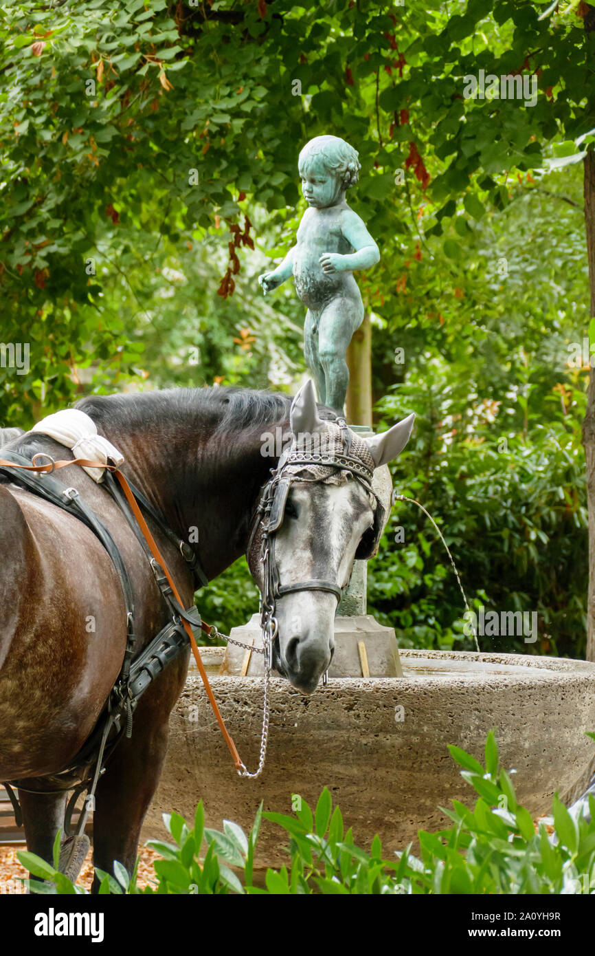 Pferd einer Kutschenanhänger trinkt ein Einems Brunnen Stockfoto