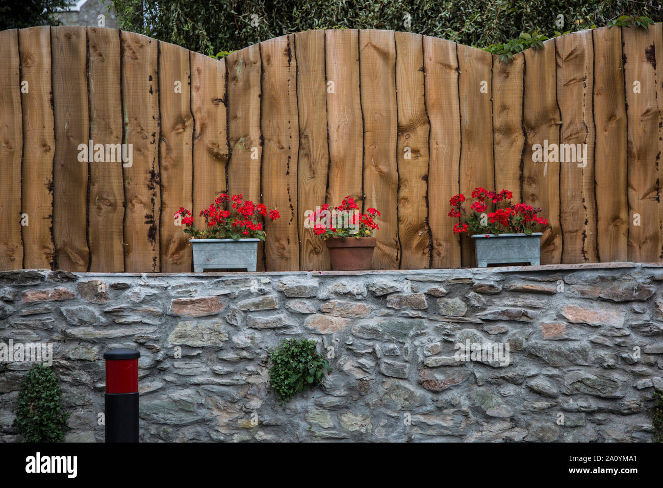 Gartenzaun mit herrlichem Devon Steinmauer und hellen roten Geranien vor, schönes Holz Garten Zaun gepflanzt. Stockfoto