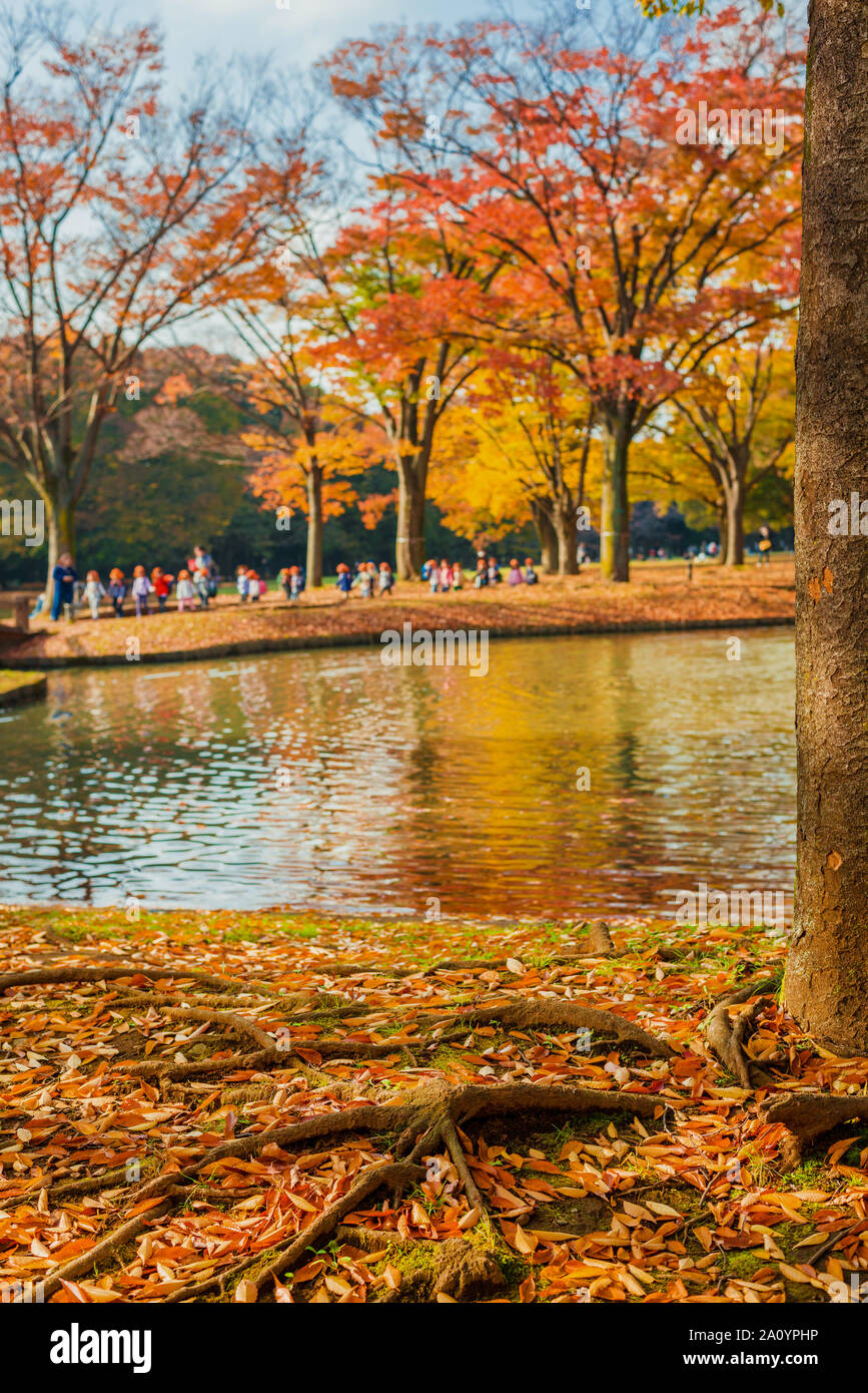 Herbst outdoor Aktivitäten im Park Stockfoto