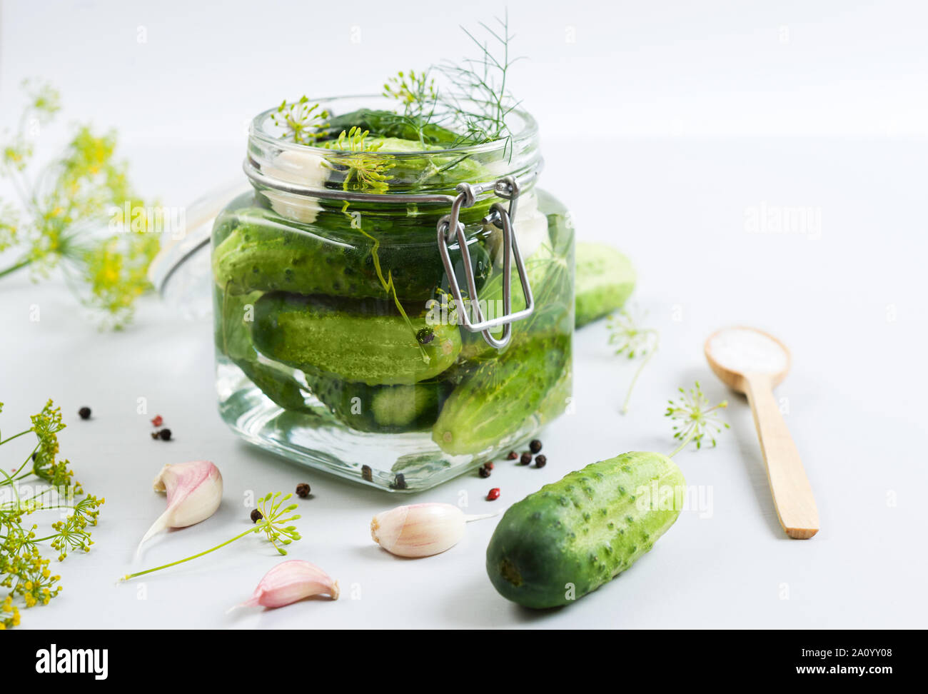 Jar von organischen Pickles und andere Zutaten für die Beize auf dem hellen Hintergrund. Selektive konzentrieren. Horizontal mit kopieren. Stockfoto