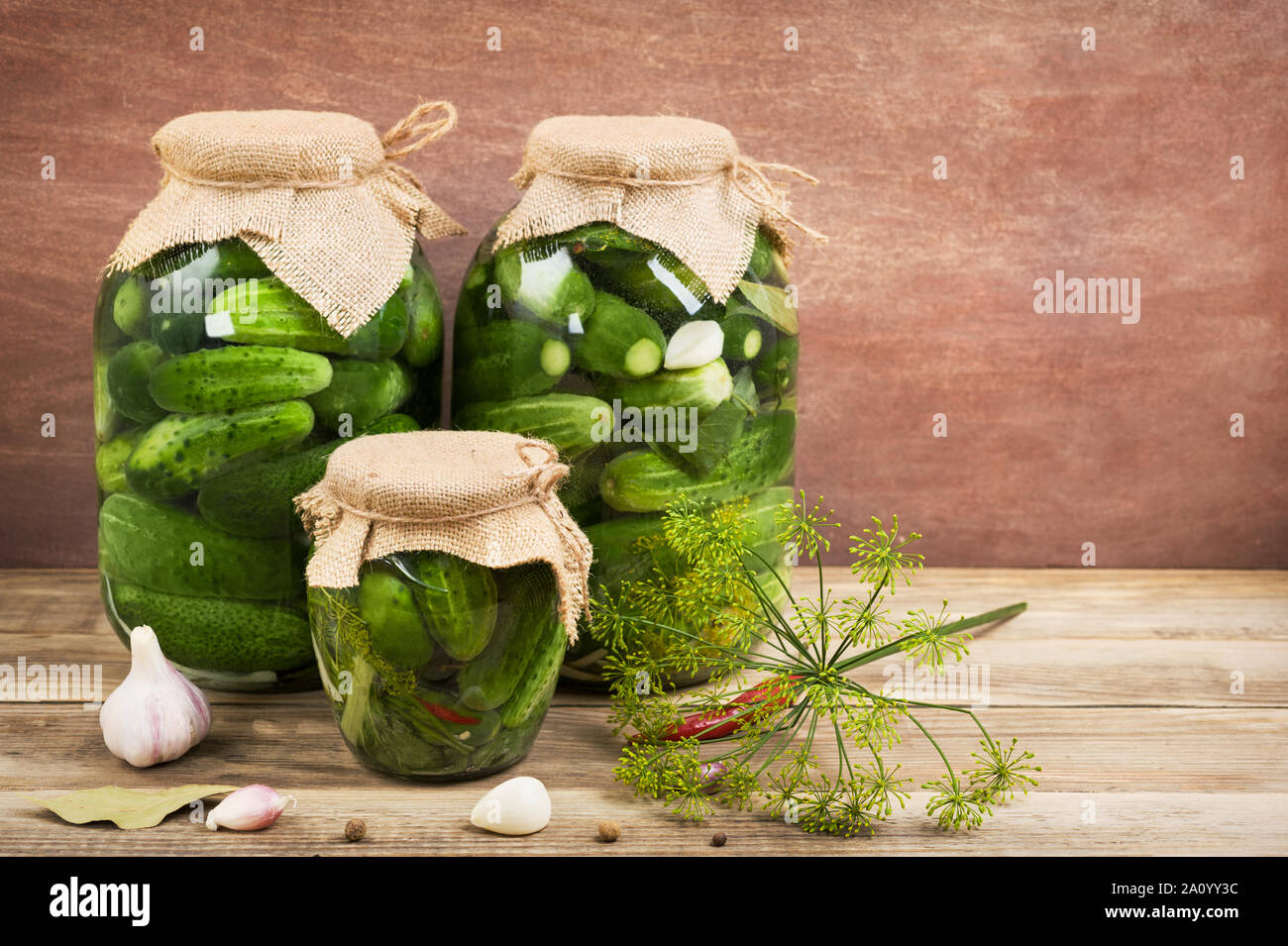 Gewürzgurken mit Gewürzen auf der hölzernen Hintergrund. Drei Gläser mit salzgurken. fermentierter Lebensmittel. Horizontale mit kopieren. Stockfoto