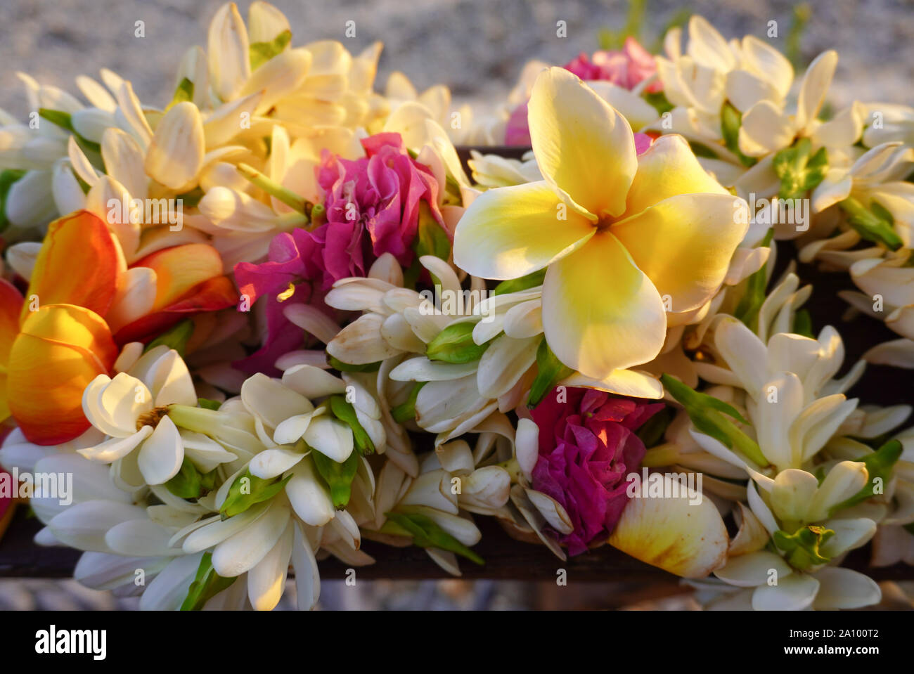 Ein Bouquet von tropischen Blumen liegt über einem Sandstrand in Französisch Polynesien im Südpazifik Stockfoto