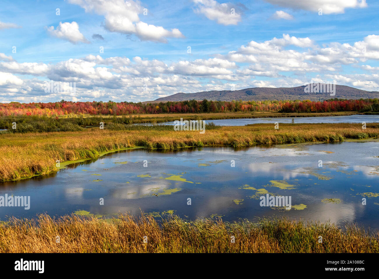 Herbst Szenen Um Lac Boivin See Quebec Kanada Aus Dem Bereich Des Centre D Interpretation De La Nature Du Lac Boivin Blick Von Der Beobachtung Stockfotografie Alamy Herbst Szenen Um Lac Boivin See Quebec Kanada Aus Dem Bereich Des Centre D Interpretation De La Nature Du Lac Boivin Blick Von Der Beobachtung Stockfotografie Alamy