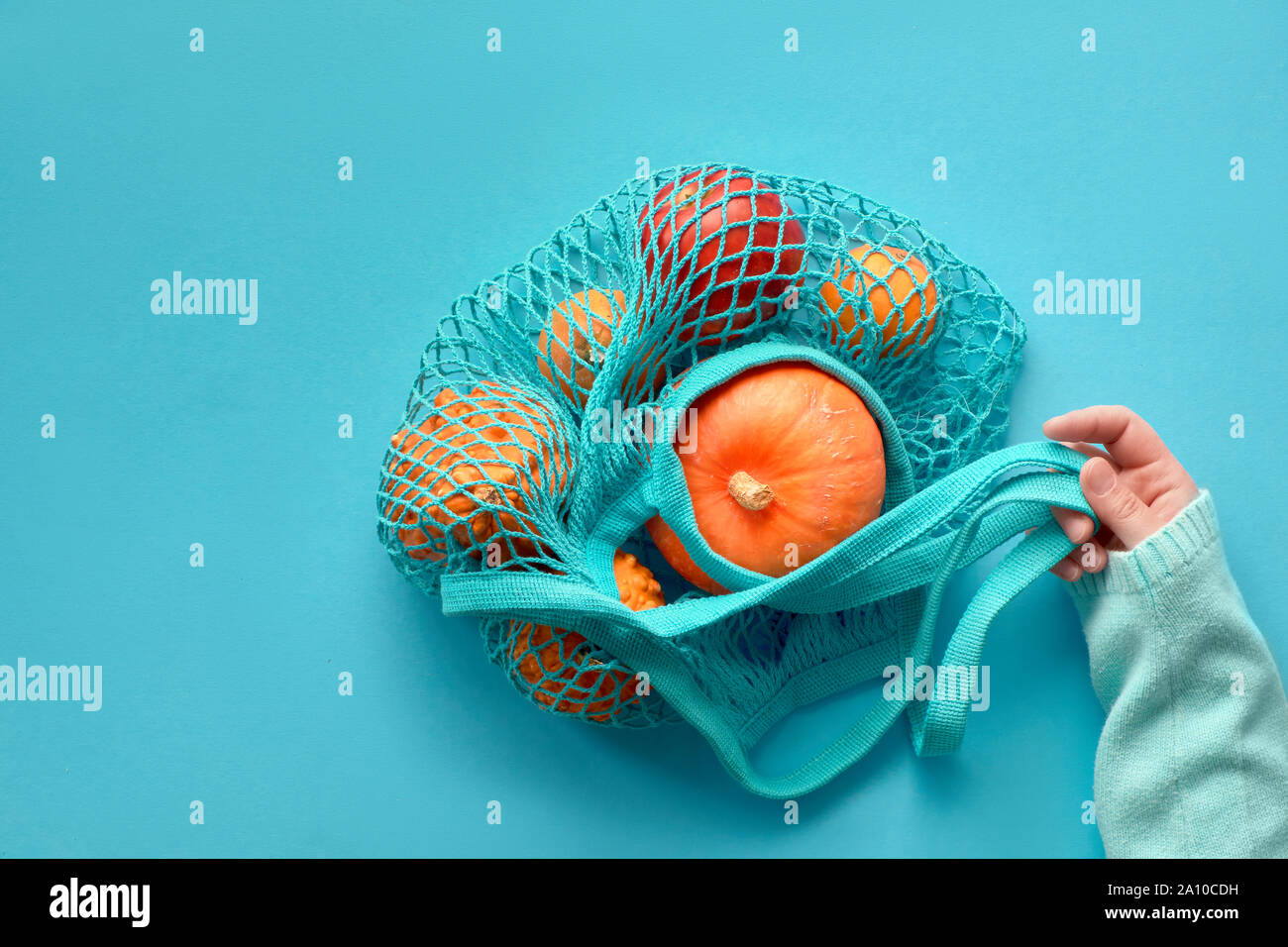 Herbst flach mit weiblichen Hand türkis String Tasche mit orange Kürbisse. nach oben Blick auf Papier Hintergrund in blau mint Farbe. Stockfoto