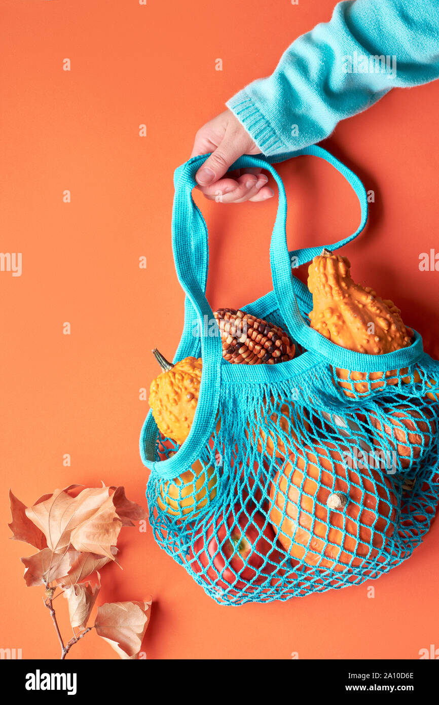 Herbst Zusammensetzung: Türkis string Beutel mit Kürbissen und weibliche Hand in blau Pullover auf orangefarbenen Papier Hintergrund Stockfoto
