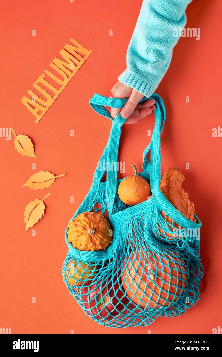Weibliche Hand in Blau mint Pullover holding Kürbisse in Türkis string Beutel auf orangefarbenen Papier Hintergrund. Herbst saisonal Konzept für den Herbst Shopping- oder Meerblick Stockfoto