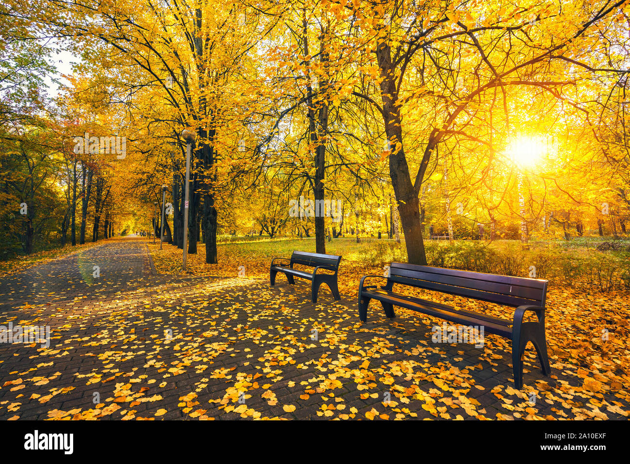 Gasse in leuchtenden Herbst Park Stockfoto