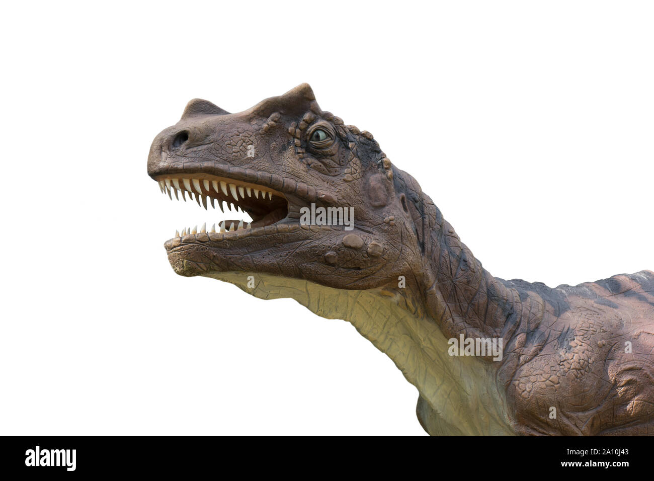 Allosaurus isoliert auf weißem Hintergrund. Saltriosaur ist ein  fleischfressendes Tier dinosuar ähnlich wie ein kleiner Tyrannosaurus rex  Stockfotografie - Alamy