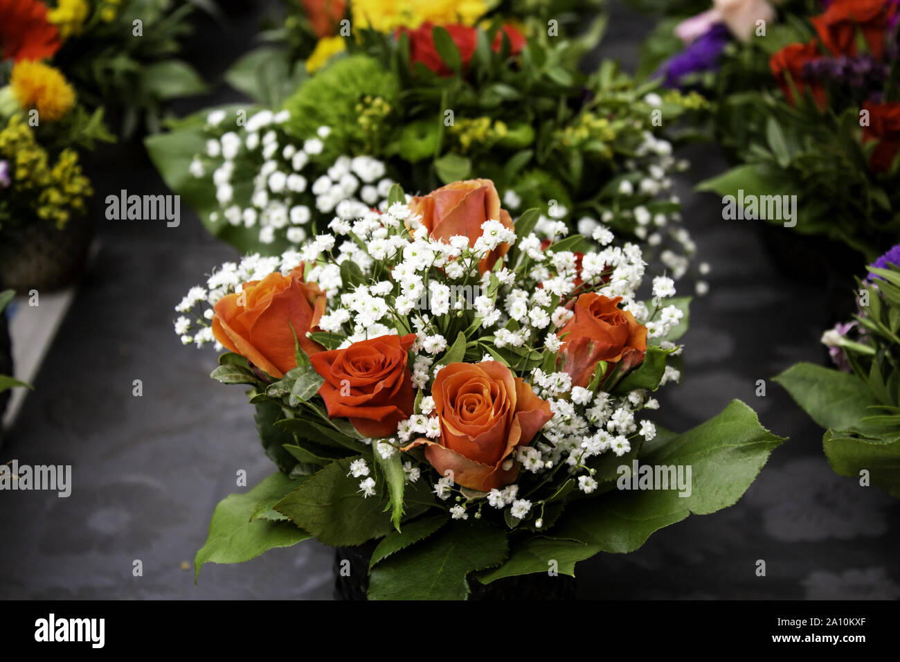 Frisch und duftenden Rosen, Detail der Romantik und Liebe Stockfoto