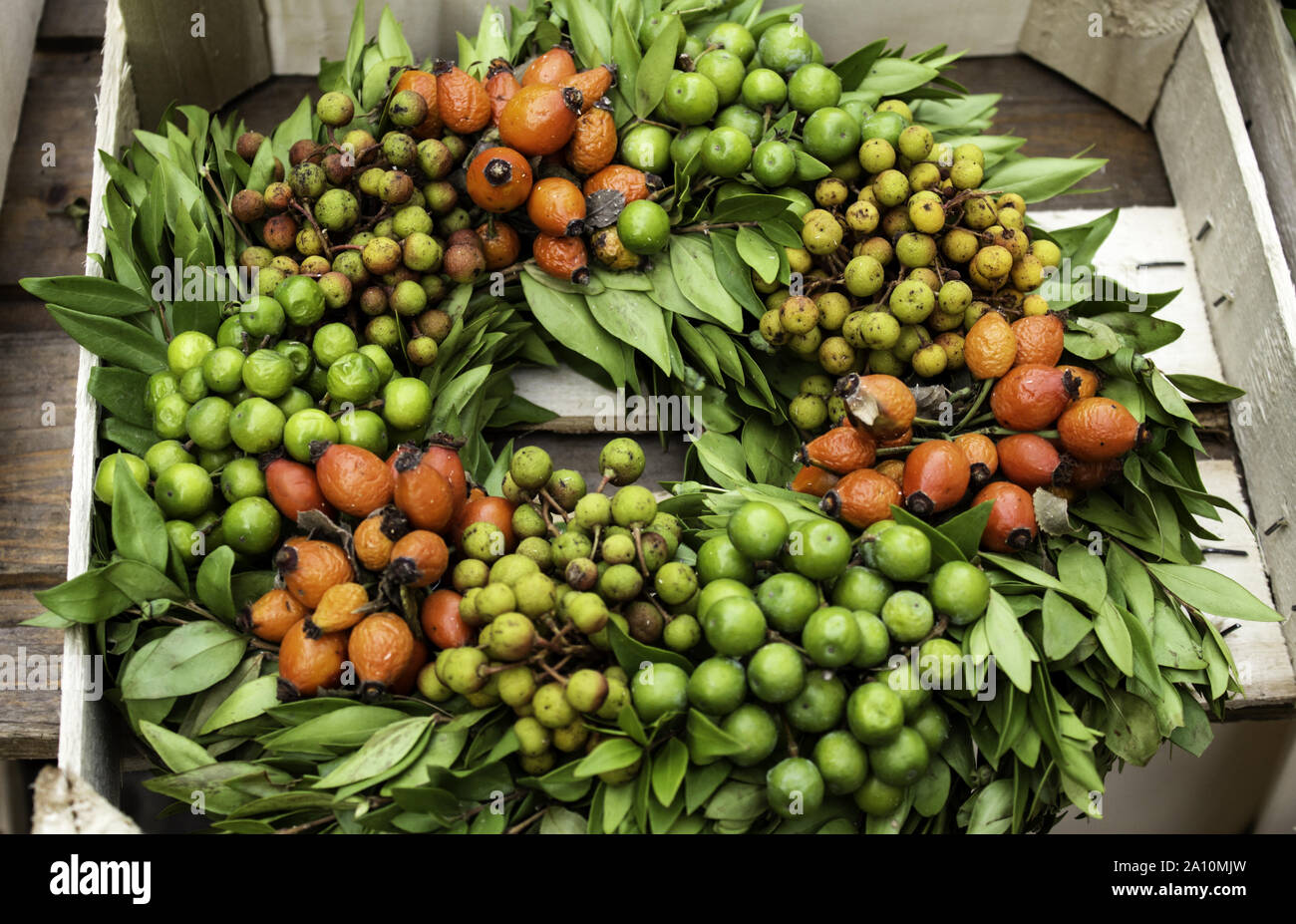 Weihnachten blumen Kranz, Dekoration mit Pflanzen, Natur Stockfoto