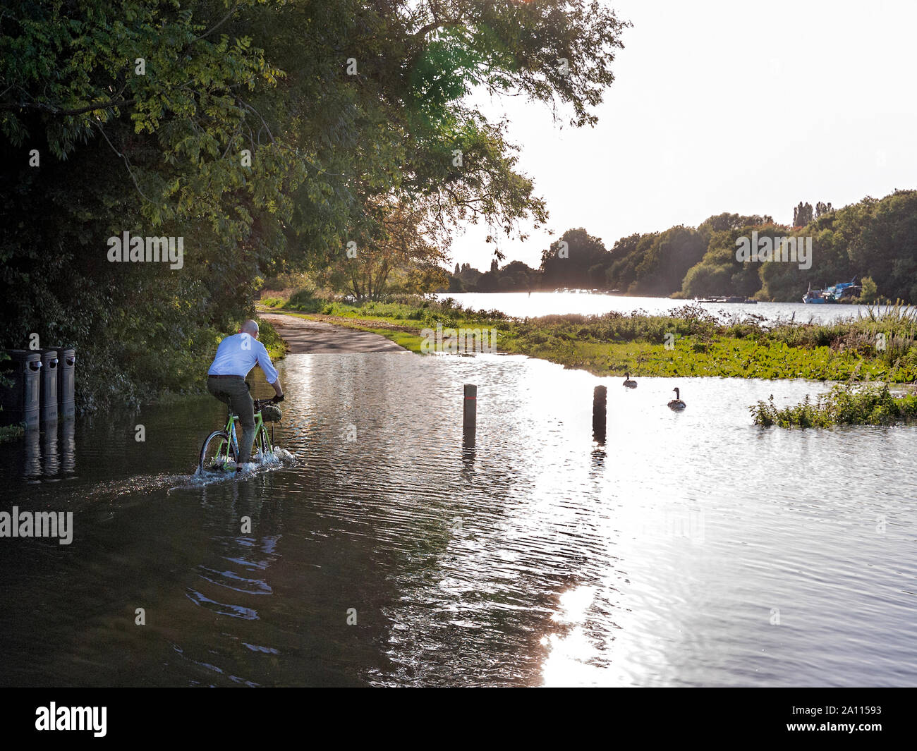 Radfahrer auf überschwemmten Thames Path Ham London UK Stockfoto