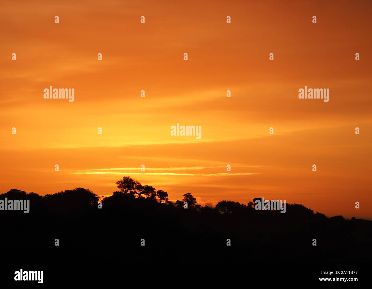 Sonnenaufgang über den Alentejo, in Richtung Spanien. Die Silhouetten der charakteristischen Korkeichen gebadet im frühen Morgenlicht. Stockfoto