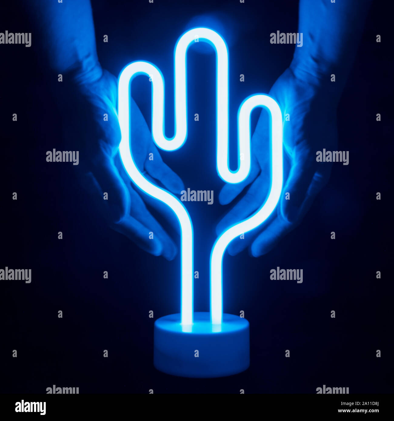 Neon Blau Kaktus LED Lampe in weibliche Hände auf schwarzem Hintergrund  Stockfotografie - Alamy