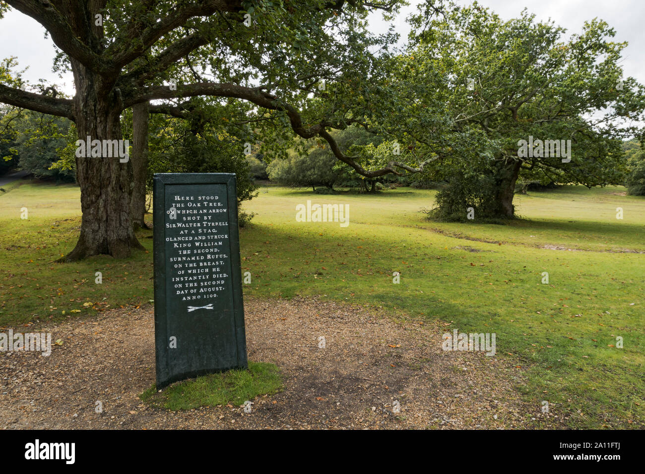 Rufus Stein New Forest. Dies ist traditionell der Ort, wo Wilhelm II (William Rufus) in einen Jagdunfall getötet wurde. Stockfoto