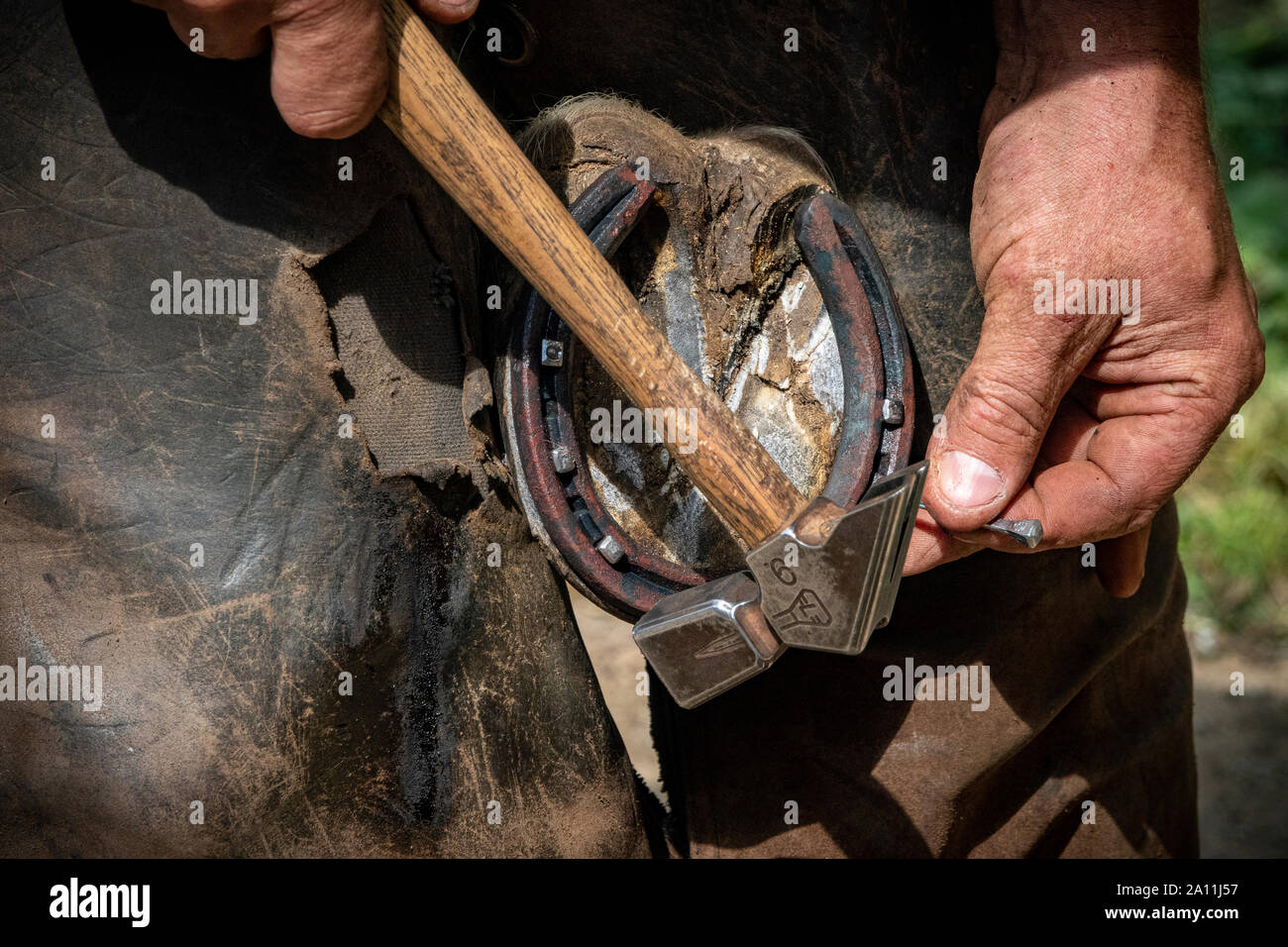 Hand Aufnahmen von einem Schmied in den Prozess der Anwendung einer neuen Schuh zu einem Pferd Stockfoto