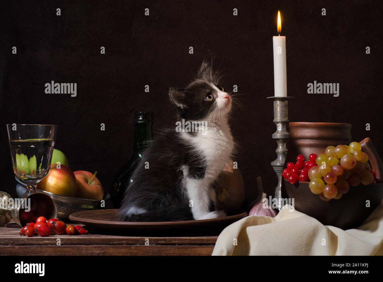 Noch immer leben Schwarze und Weiße Katze sitzt in einem Ton Platte und eine brennende Kerze auf dunklem Hintergrund Stockfoto