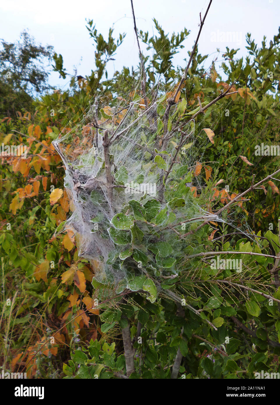 Leicht Zu Sehen Stockfotos Leicht Zu Sehen Bilder Alamy
