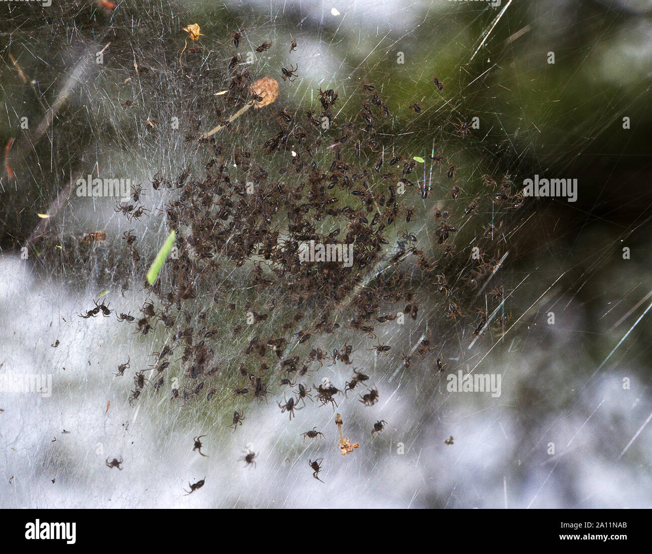 Leicht Zu Sehen Stockfotos Leicht Zu Sehen Bilder Alamy