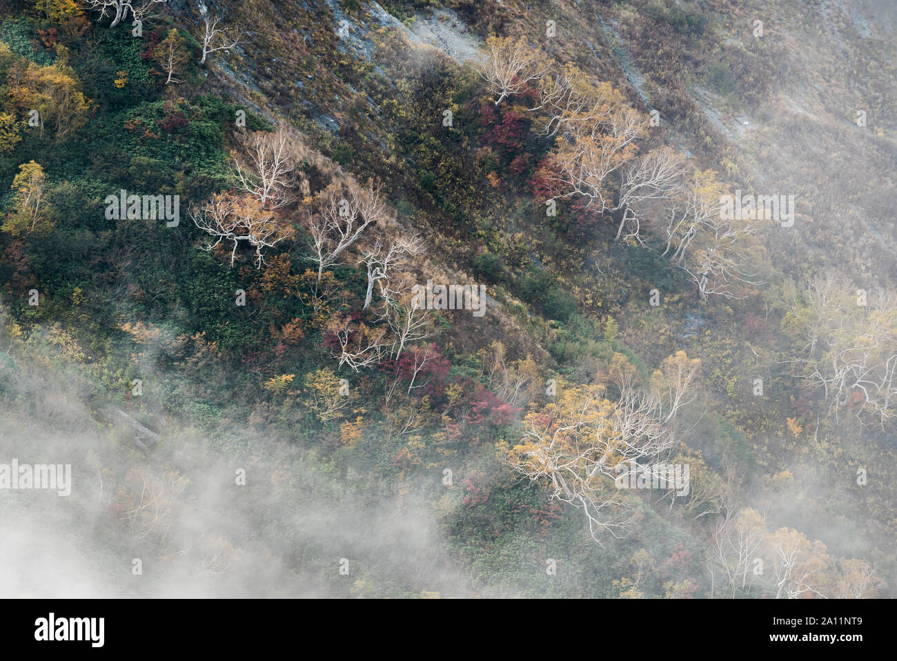 Landschaft Herbst von Hakuba Tal in Nagano Chubu Japan Stockfoto