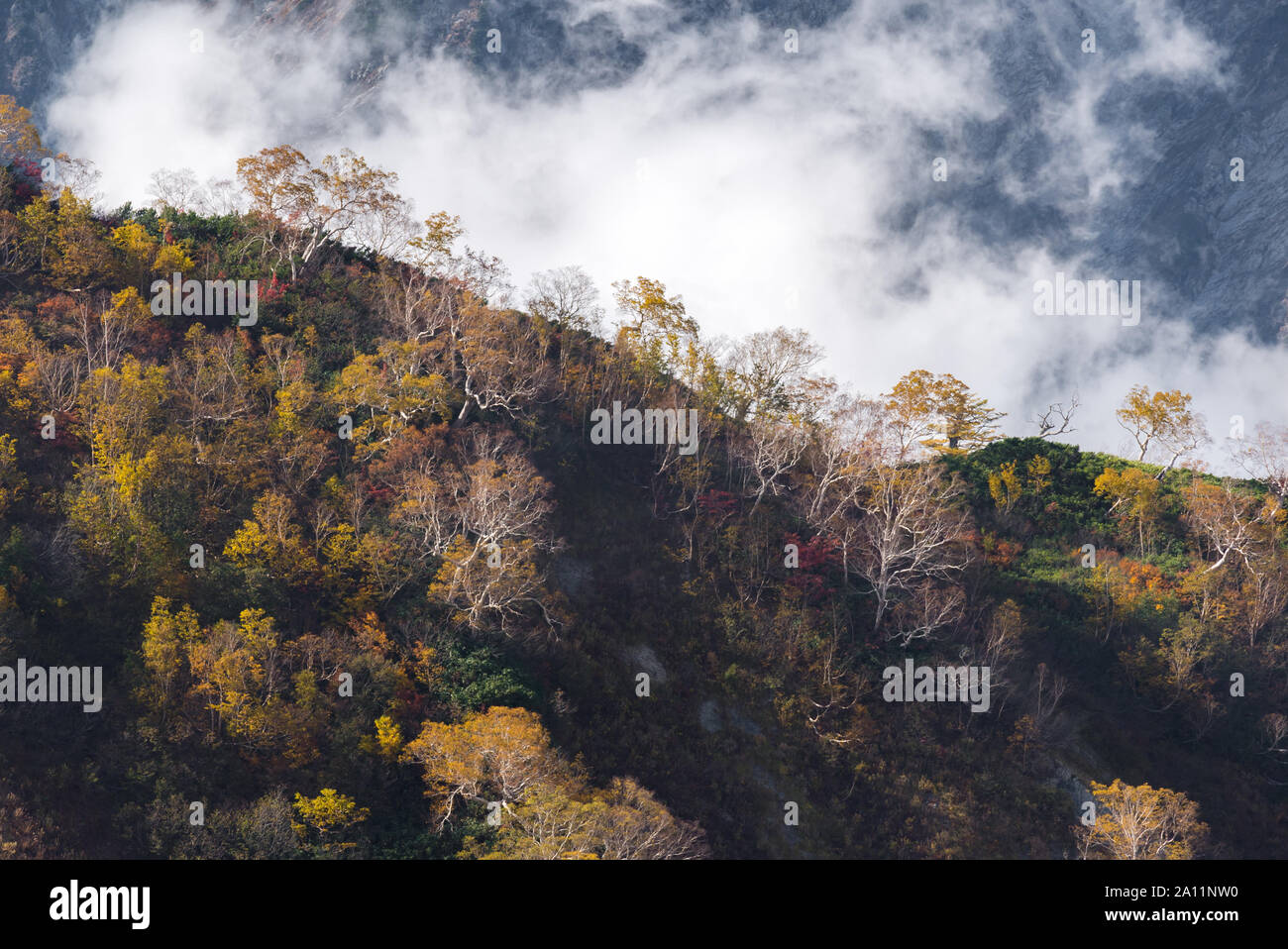 Landschaft Herbst von Hakuba Tal in Nagano Chubu Japan Stockfoto