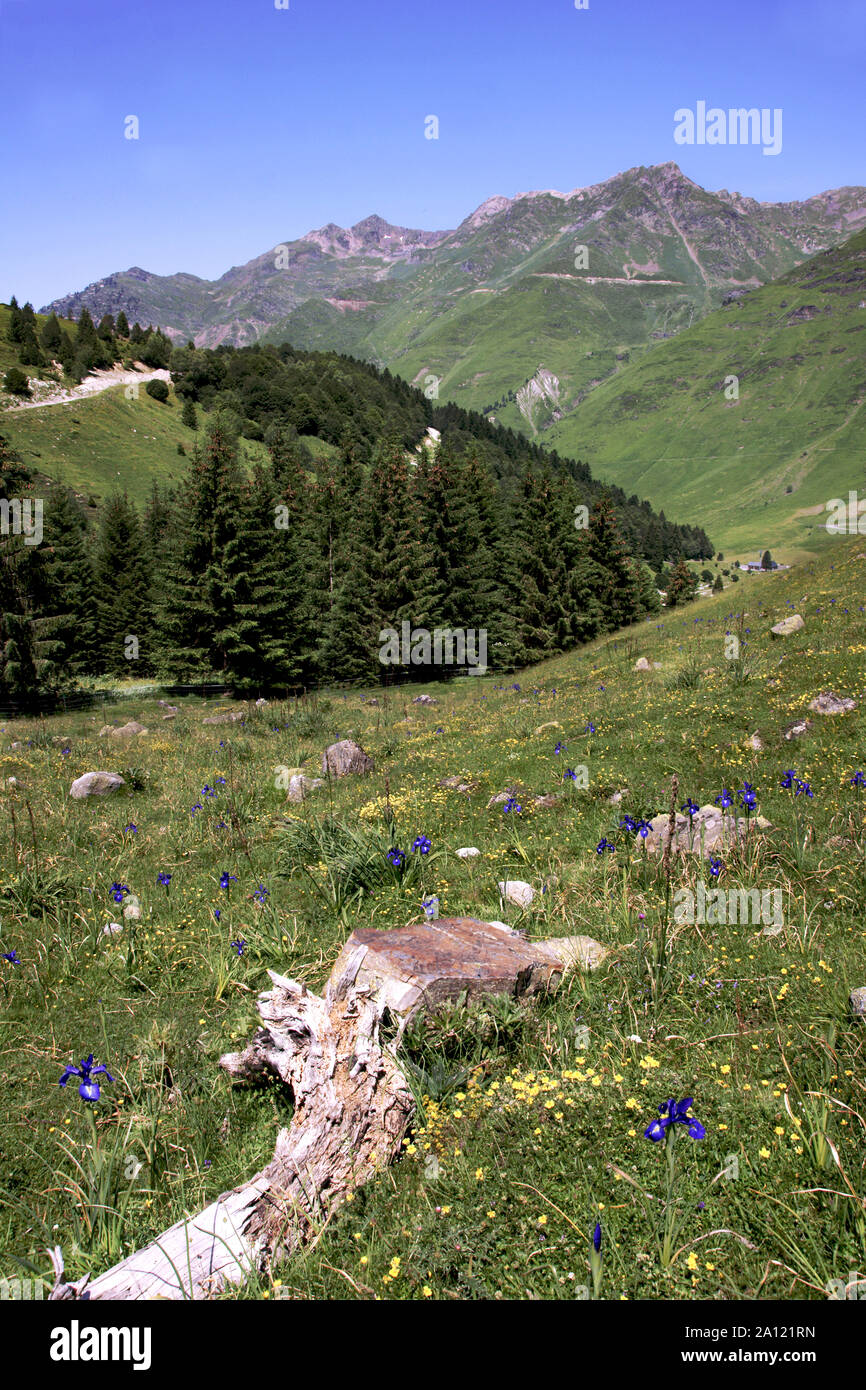 Frankreich. Hautes-Pyrenees Stockfoto