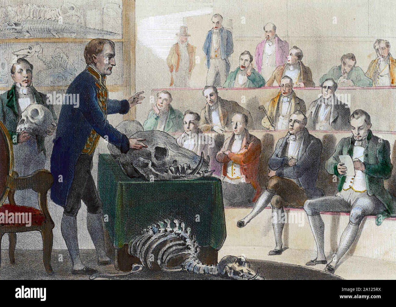 GEORGES CUVIER (1769-1832), französischer Naturforscher die Paläontologie Stockfoto