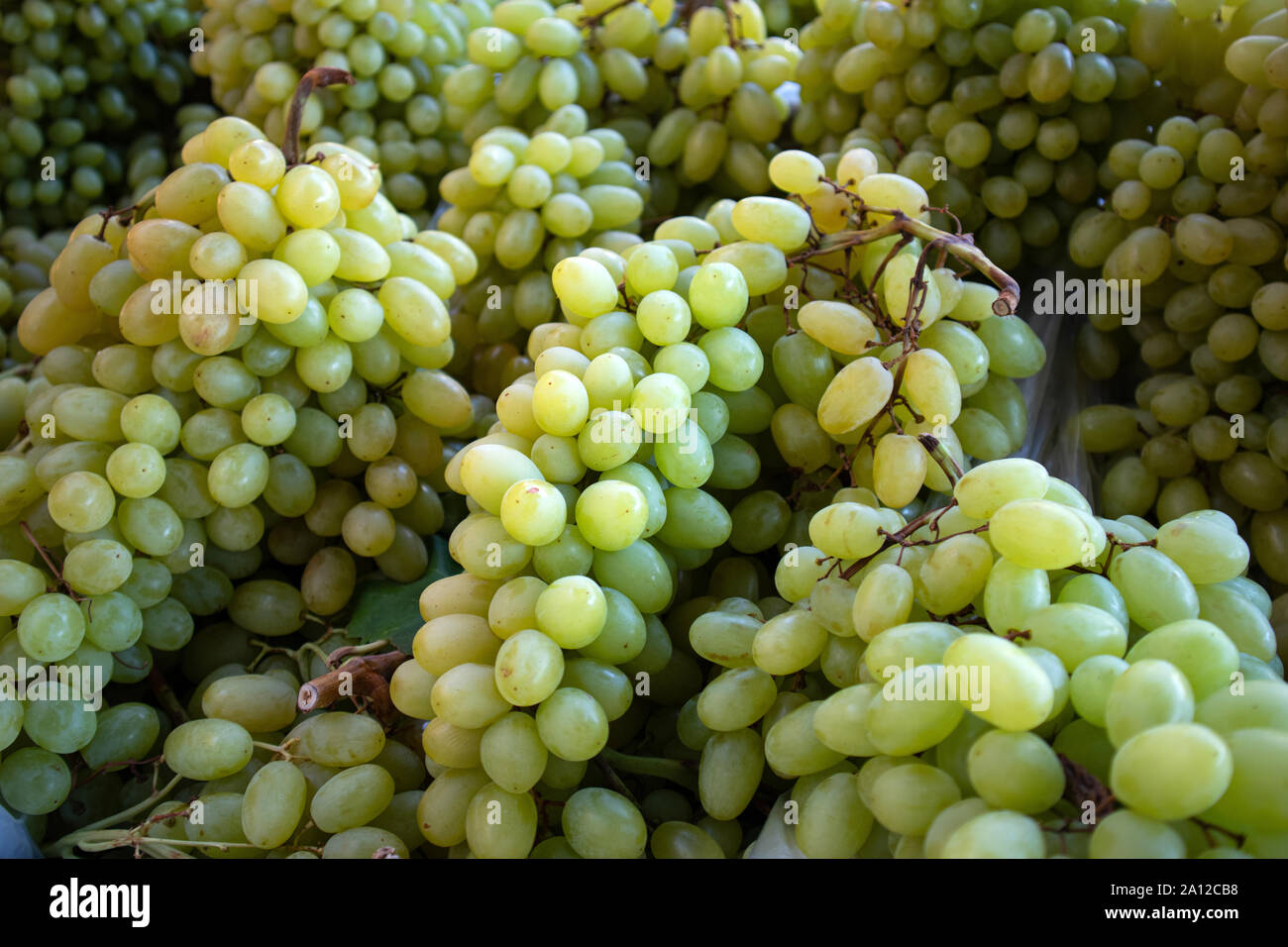 Kernlose Trauben, Hintergrund, Textur. Frische gelb grüne Trauben Bündel auf Markt angezeigt werden, Ansicht schließen Stockfoto