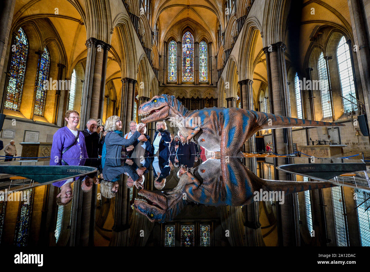 Eine Frau kitzelt das Kinn eines Tyrannosaurus rex, wie es in der Schrift in der Kathedrale von Salisbury vor einem Jurassic Wochenende im Oktober reflektiert wird. Die Veranstaltung wird von Menschen betrieben vier Meter langen MARIONETTE T-Rex, die Kindern helfen, zu verstehen, wie die Kreaturen verschoben, gejagt und entwickelt werden sollen. Stockfoto