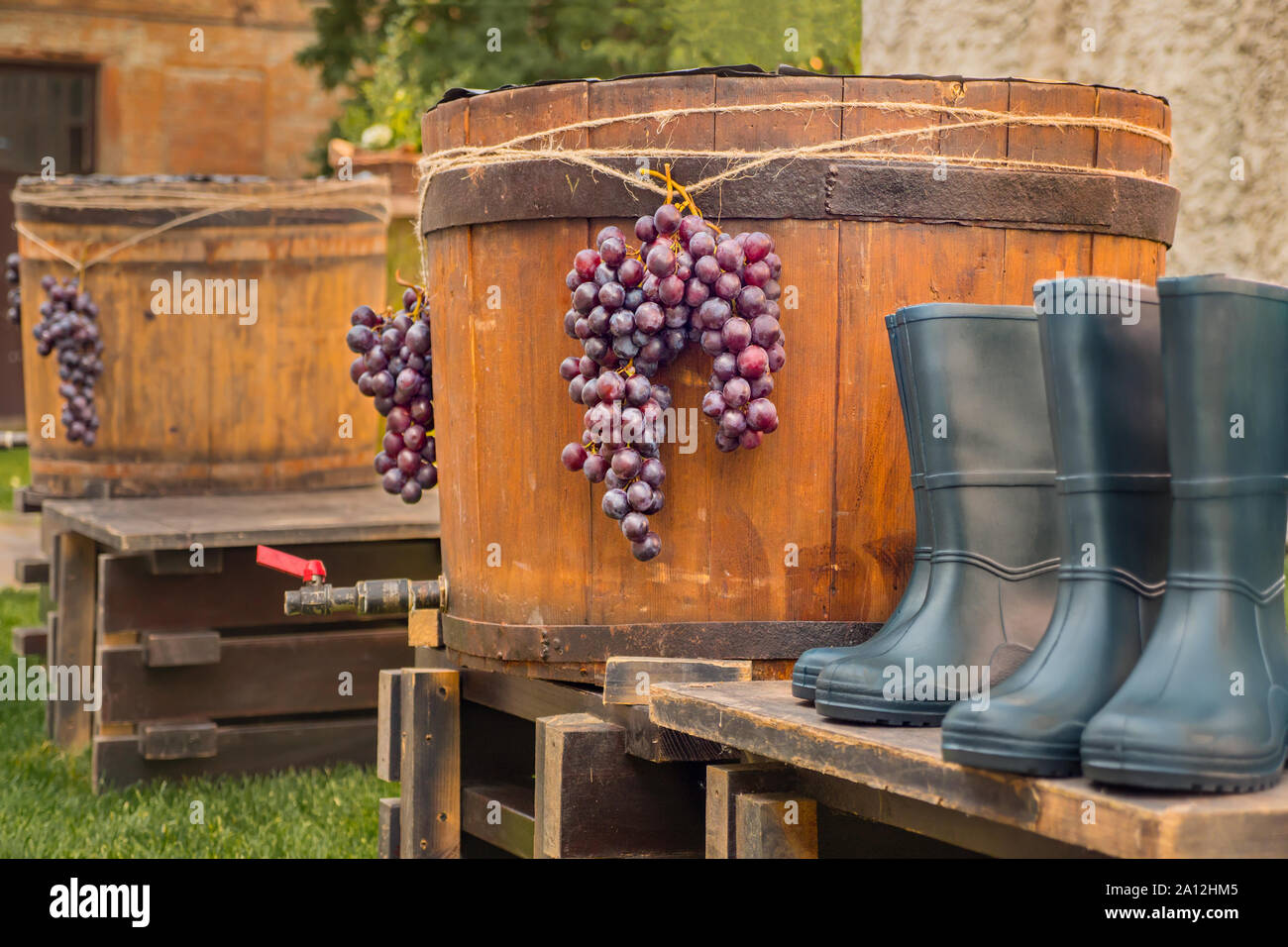Weinlese Hintergrund. Weintraube auf Holzschaft und in der Nähe Gummistiefel. Zwei Paar Gummistiefel stehend auf Paletten in der Nähe von Holzfass mit weintraube eingerichtet. Weinfest Stockfoto