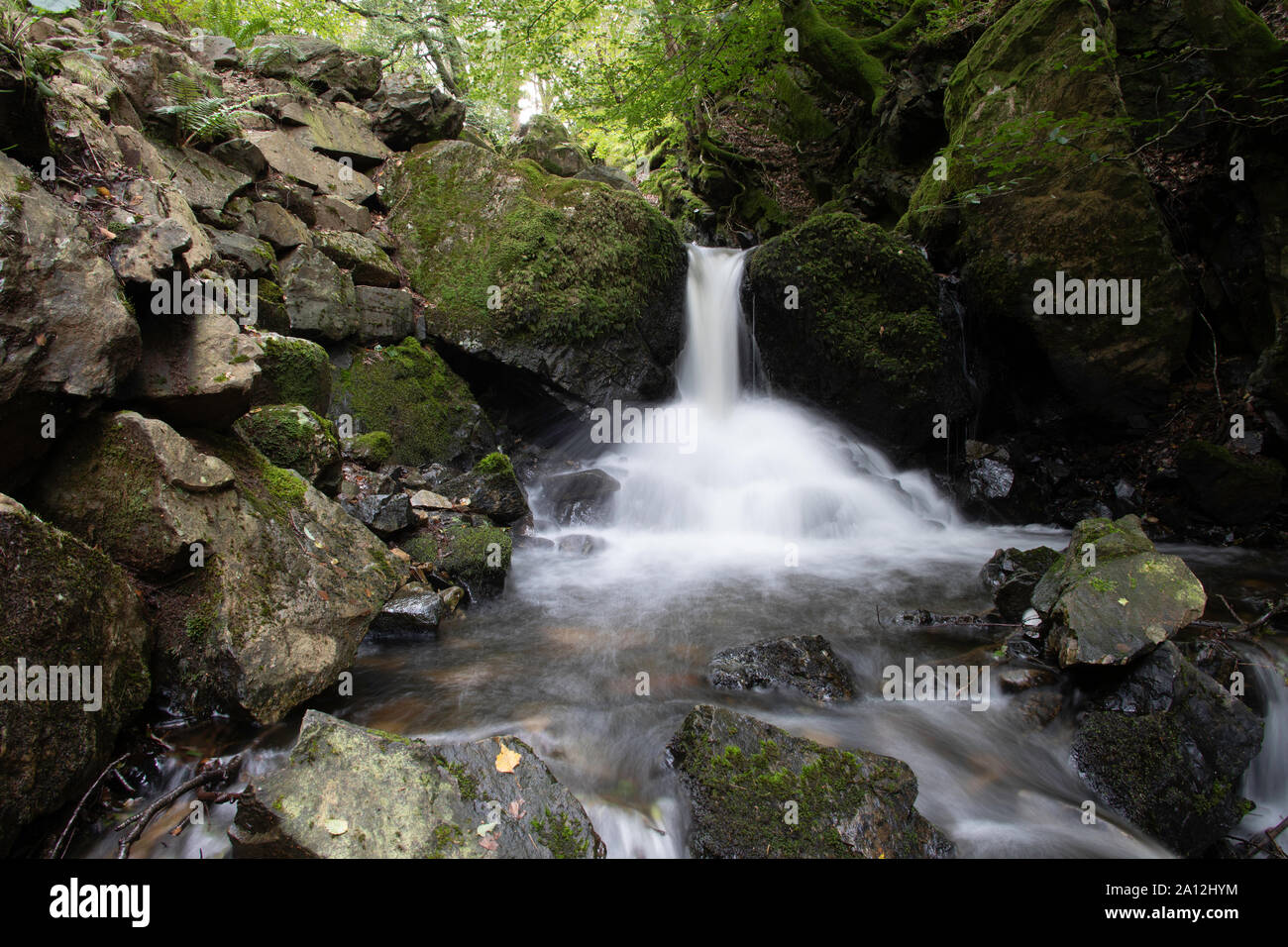 Tom Gill fällt unter Tarn Hows, in der Nähe von Coniston, Lake District, Cumbria, England Stockfoto