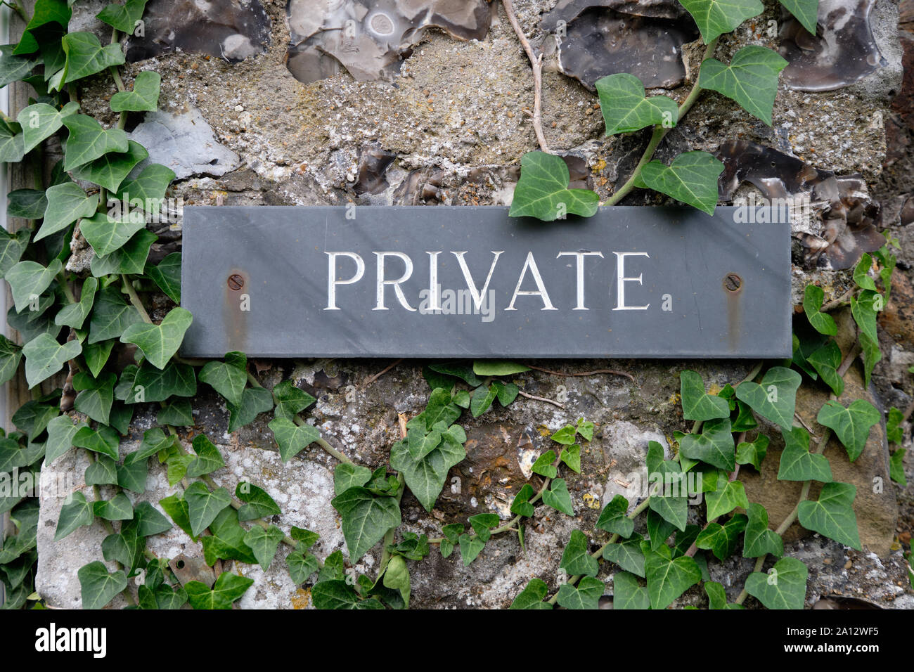 Private Zeichen geschraubt in Felsen und Zement Wand mit umliegenden grünen Efeu wächst Stockfoto