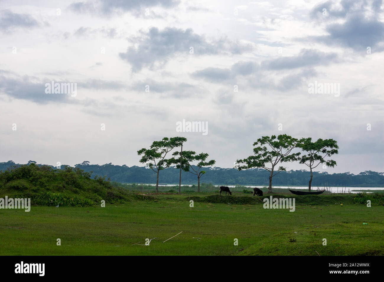 Landschaft von ländlichen Gegend, Bangladesch Stockfoto