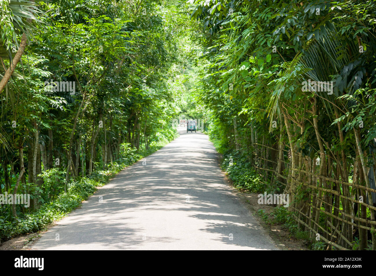 Landschaft von ländlichen Bereich Straße, Bangladesch Stockfoto