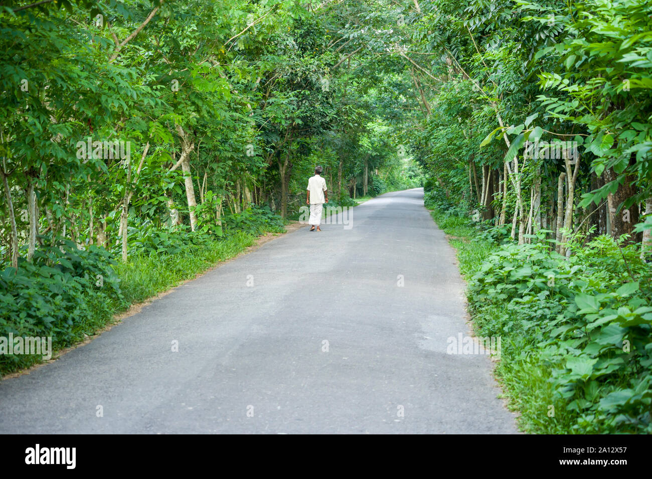 Landschaft von ländlichen Bereich Straße, Bangladesch Stockfoto