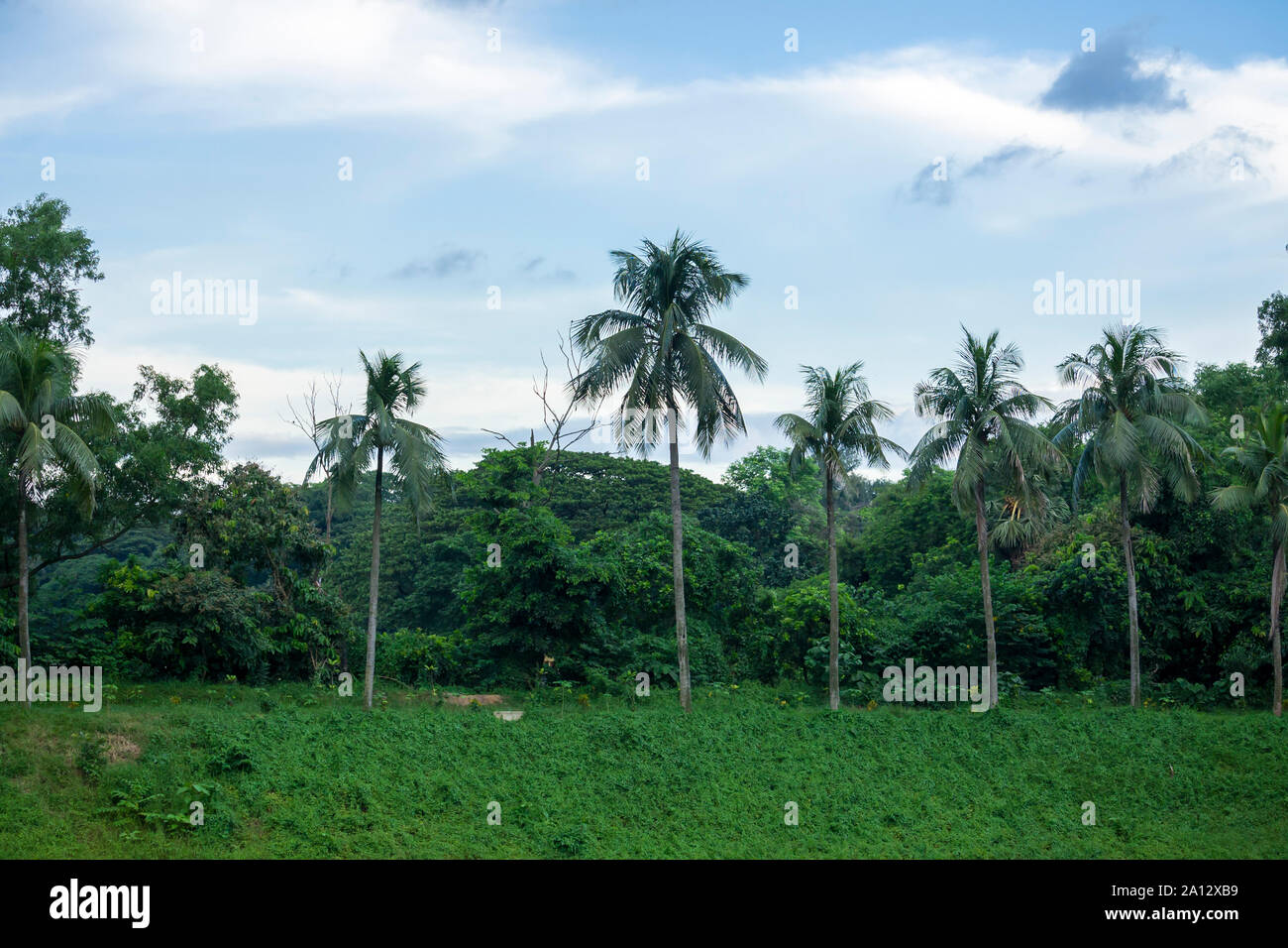 Landschaft der Botanischen Garten, Mirpur, Dhaka, Bangladesch Stockfoto