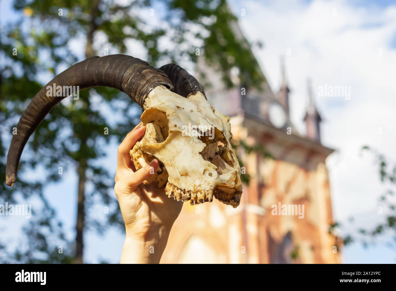 Bose Ziege Stockfotos Und Bilder Kaufen Alamy