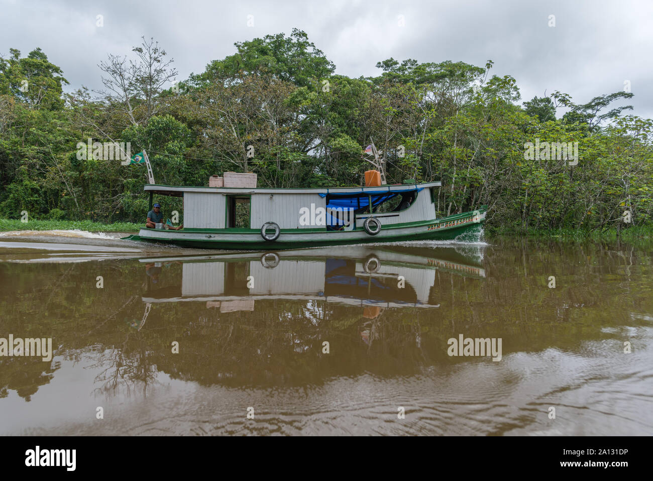 Brasilianischen Regenwald am Ende der Regenzeit im Mai, mamirauá Nachhaltige Entwicklung finden, Rio Japurá, Tefé, Amazonas, Brasilien, Lateinamerika Stockfoto