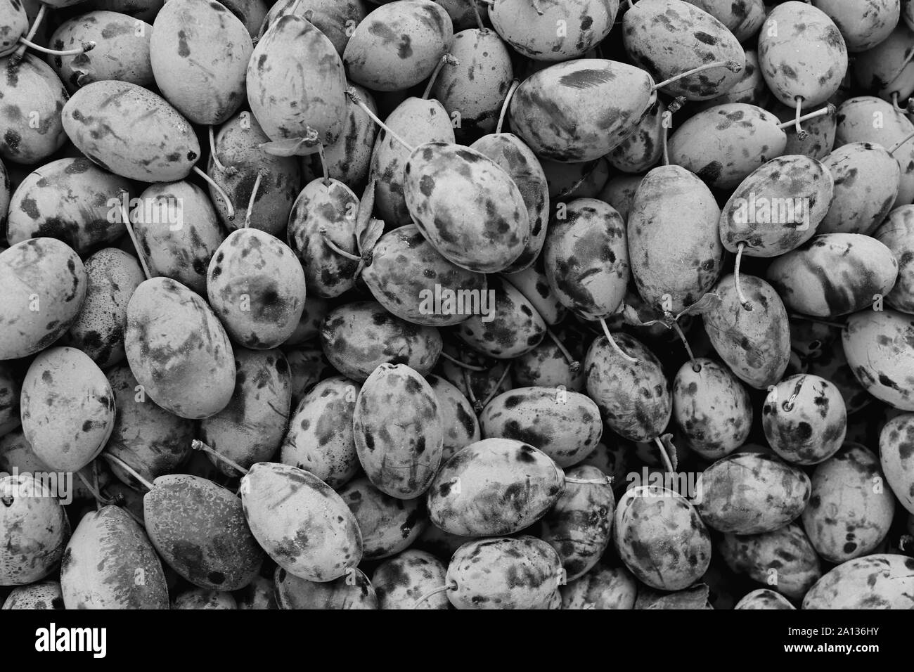 Schwarz und Weiß pflaume Füllung Textur. Pflaume Frucht leckere frische Hintergrund. Stockfoto