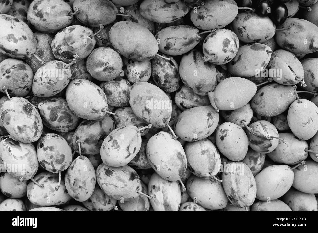 Schwarz und Weiß pflaume Füllung Textur. Pflaume Frucht leckere frische Hintergrund. Stockfoto