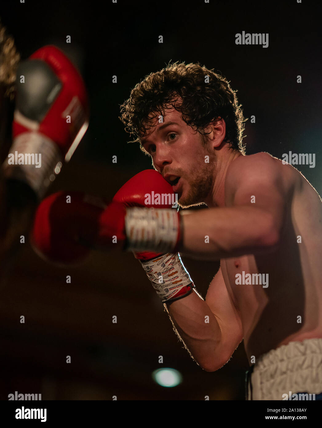 21. September 2019. Elgin Rathaus, Elgin, Moray, Schottland, Großbritannien. Dies ist eine Szene aus dem Homecoming Boxing Ereignis. Stockfoto