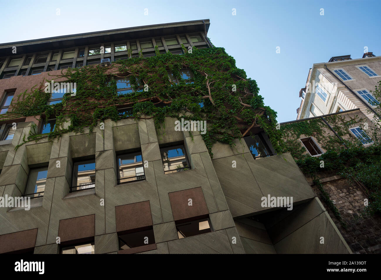 Gebäude Architektur hautnah mit Efeu Pflanzen in Genf, Schweiz. Stockfoto