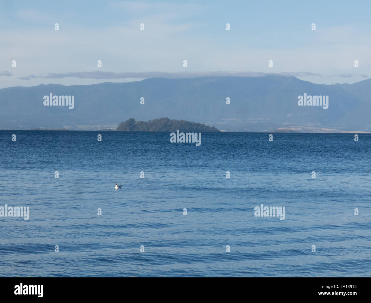 Panoramablick auf den Lago Ranco, der drittgrößte See in Chile. In der Mitte, Huapi Insel. In der Region von Los Rios, in Araucanía oder Patagonien, Chile ein Stockfoto