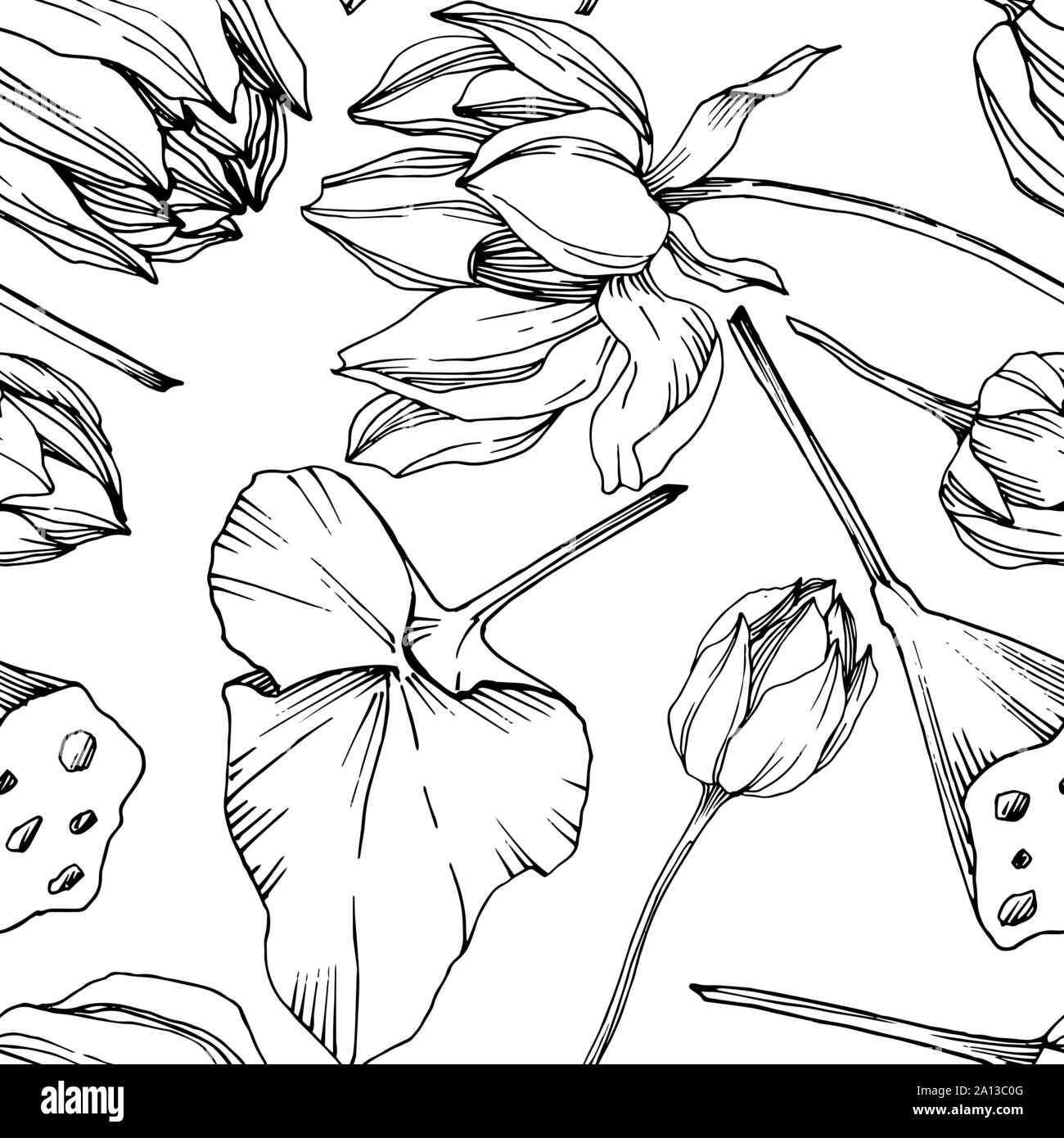 Vektor Lotus Blumen botanischen Blume. Schwarz und weiß eingraviert Tinte Art nahtlose Muster. Stock Vektor
