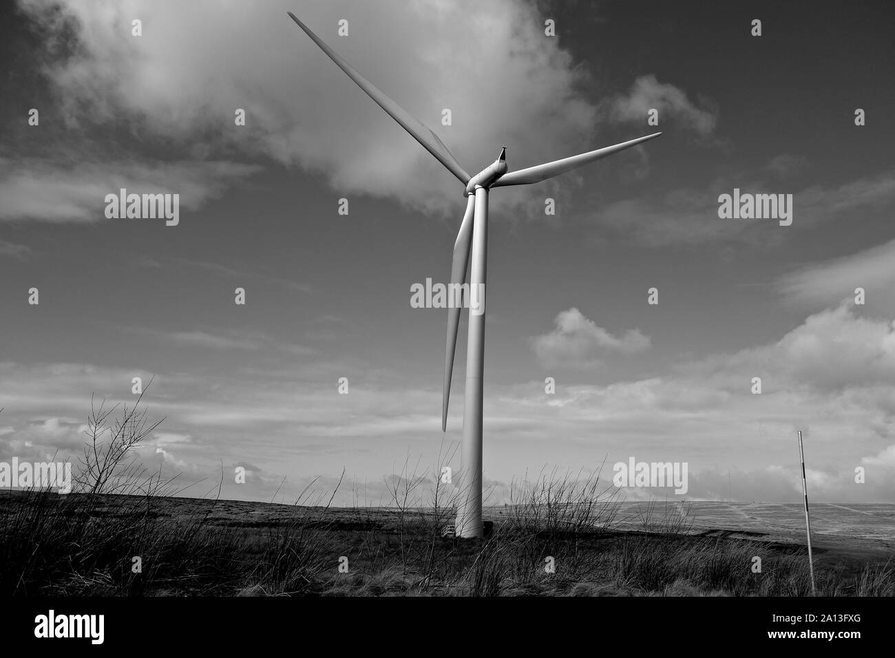 Windpark Whitelee, Schottland Stockfoto