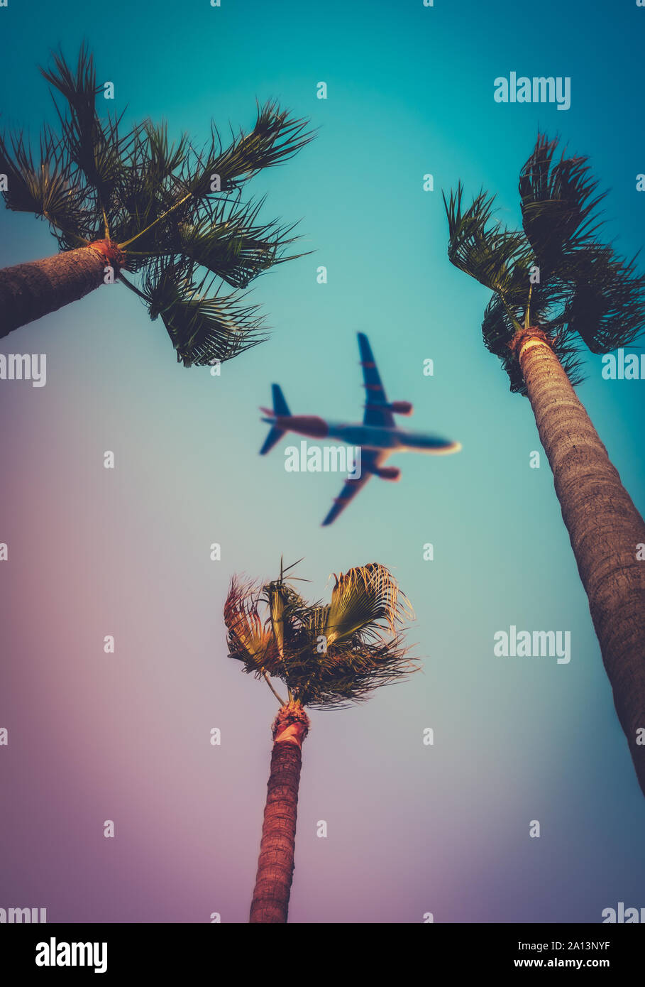 Ferienhäuser Bild eines Verkehrsflugzeugs Flying Overhead Drei Palmen in den Tropen Stockfoto