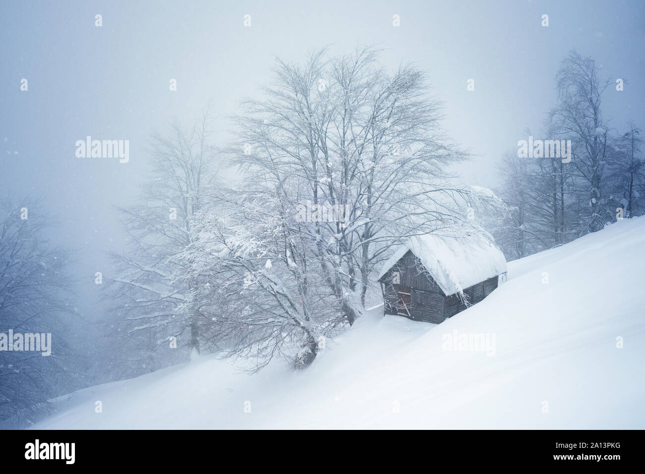 Wetter mit Nebel und Schneefall. Lonely Holzhaus in einem Bergwald mit Schnee bedeckt. Bewölkt Landschaft Stockfoto