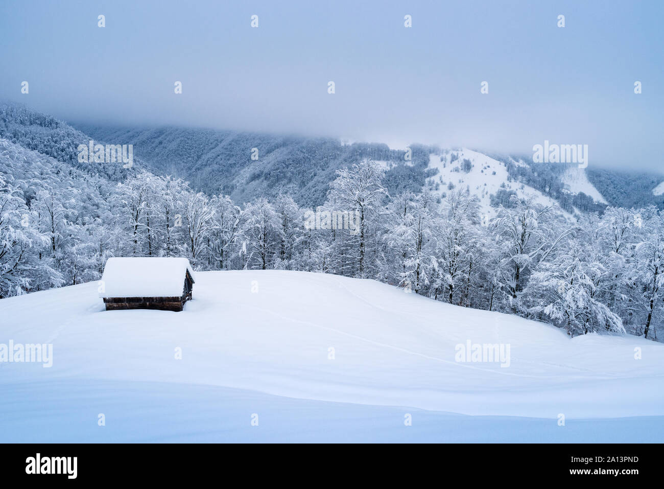 Winter im Bergdorf. Lonely Holz- Haus im Schnee. Weihnachten Landschaft mit schneebedeckten Wald und Nebel Stockfoto