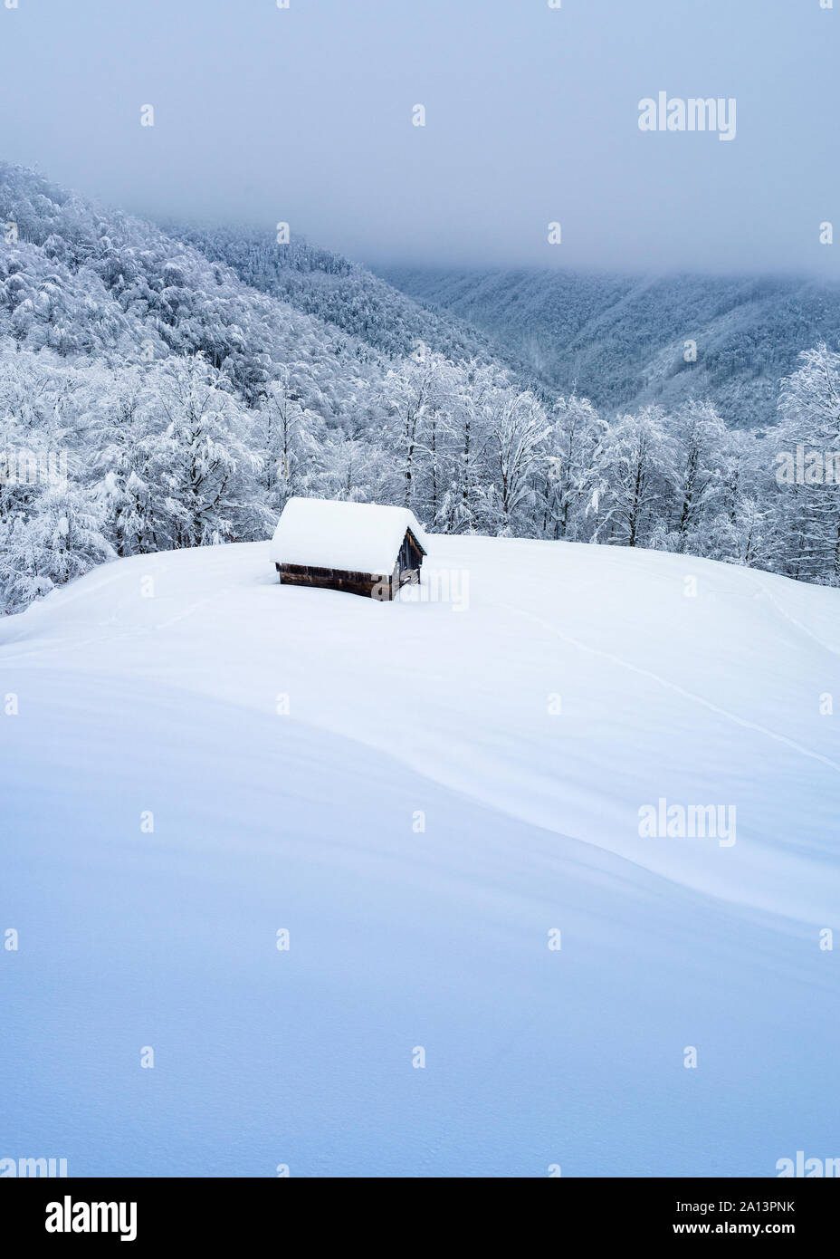 Lonely Holz- Haus im Schnee. Weihnachten Landschaft mit schneebedeckten Wald und Nebel. Winter in einem Bergtal Stockfoto