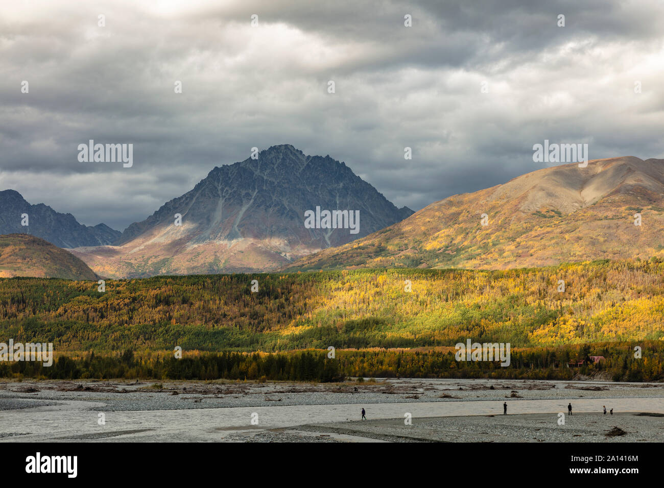 Dramatische Gewitterwolken und Sonnenlicht zeigen einen bunten Herbst Landschaft entlang des Matanuska River in Southcentral Alaska. Stockfoto